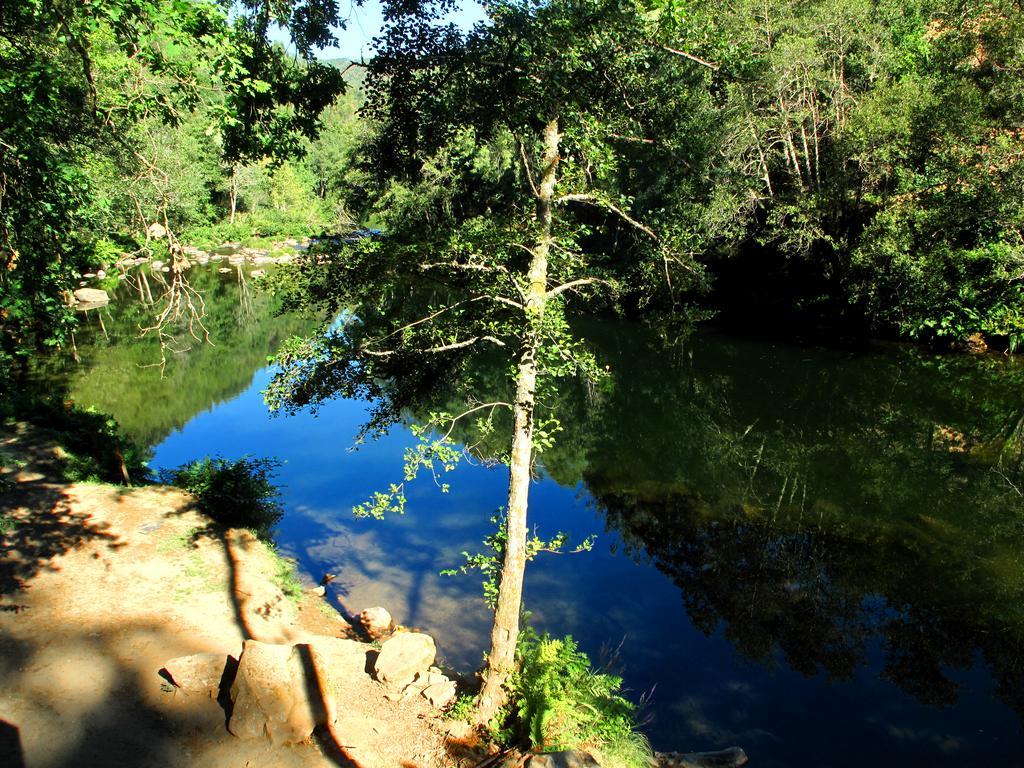 Вілла Quinta De Gildinho Екстер'єр фото