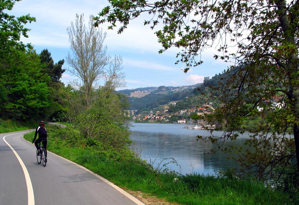 Вілла Quinta De Gildinho Екстер'єр фото