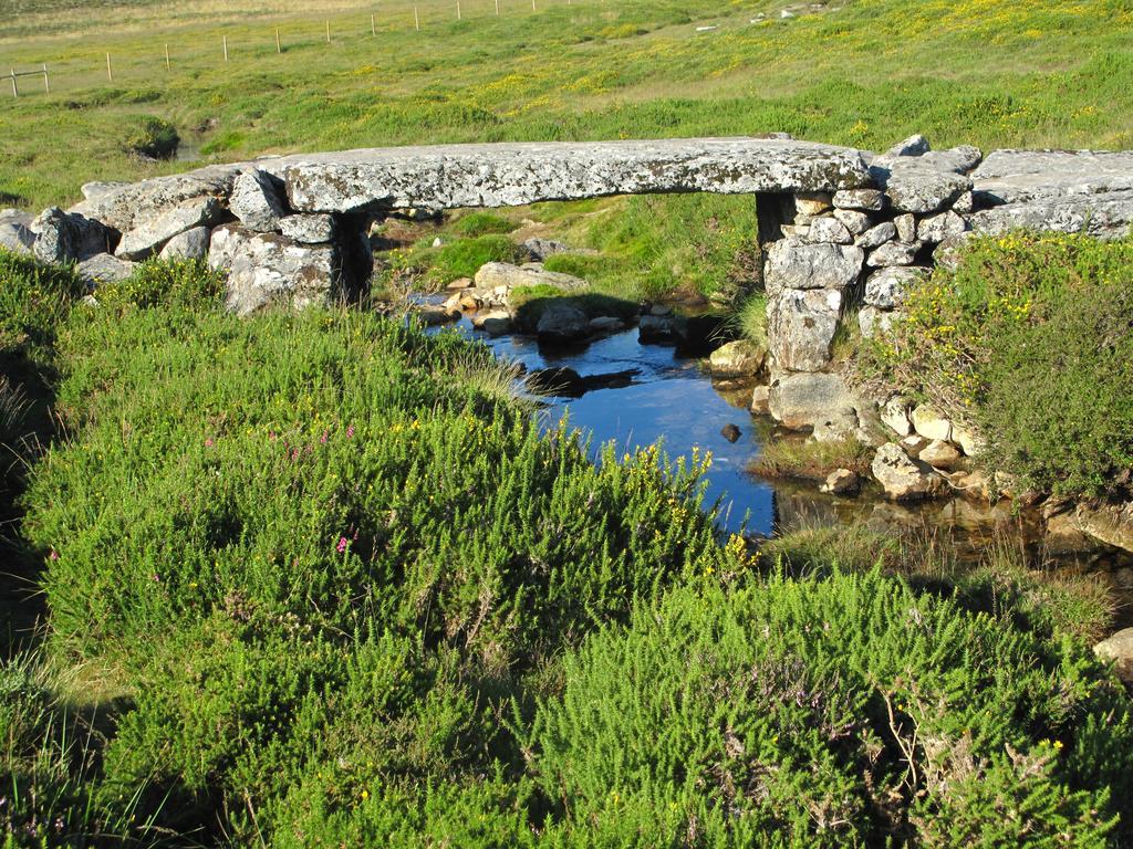 Вілла Quinta De Gildinho Екстер'єр фото