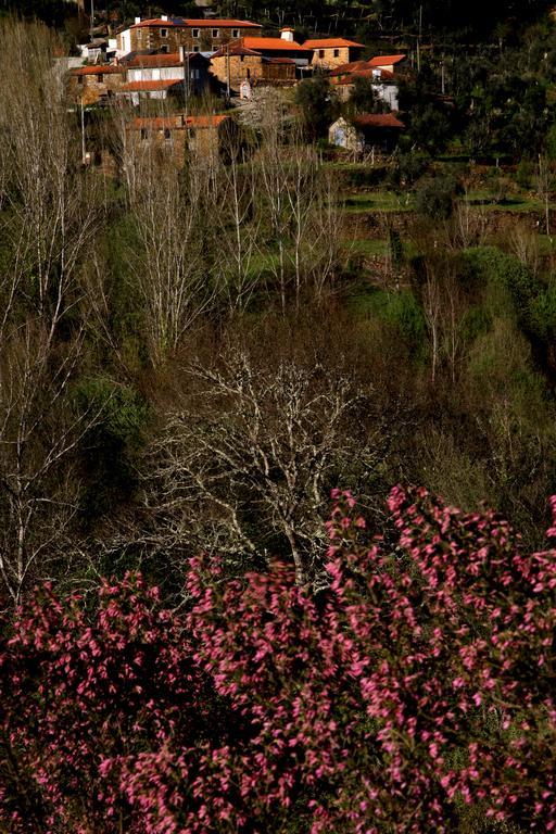 Вілла Quinta De Gildinho Екстер'єр фото